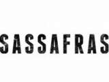 Sassafras