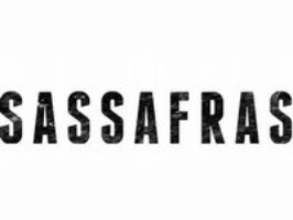 Sassafras